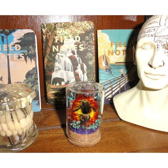 Carpenter Bee on Sunset Flower Oddity jar curiosity Dome insect taxidermy goth - Picture 12 of 16